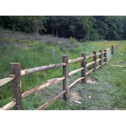 Rustic Cleft Chestnut Posts